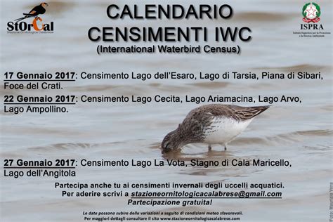 censimento iwc 2019|CENSIMENTI IWC IN PROVINCIA DI TREVISO:ANDAMENTI DI .